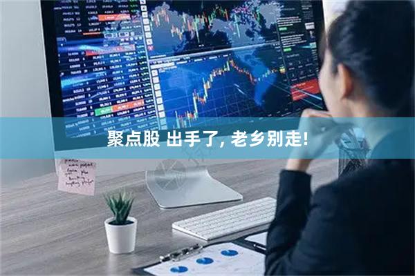 聚点股 出手了, 老乡别走!