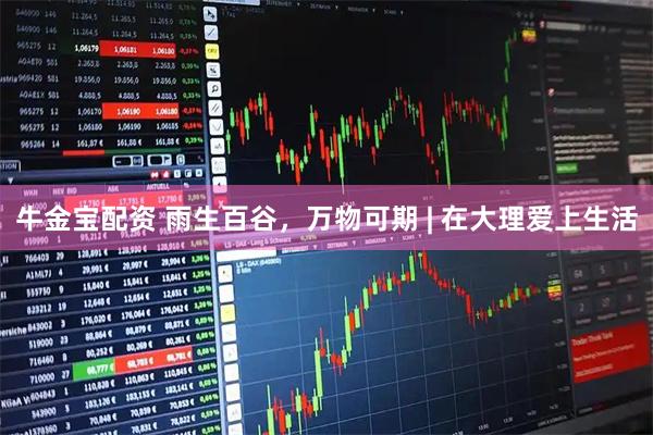 牛金宝配资 雨生百谷，万物可期 | 在大理爱上生活